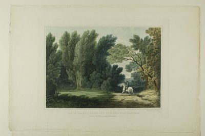 Gezicht op de plek waar generaal Ross viel, nabij Baltimore, plaat zes van het eerste nummer van Picturesque Views of American Scenery door John Hill