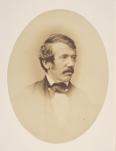Dr. Livingstone door John Jabez Edwin Mayall