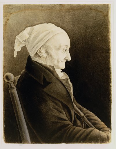 Henri De Gallon, 1819 door John James Audubon