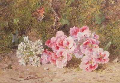 Vlinder en Bloemen door John Jessop Hardwick