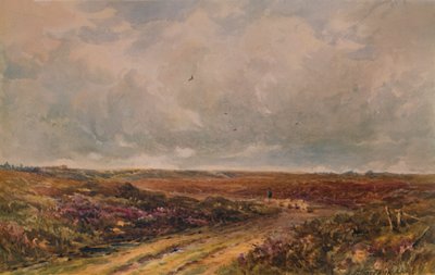 Stormachtige dag op een Surrey Common, 19e-20e eeuw, 1935 door John Jessop Hardwick