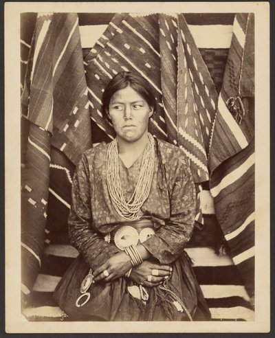 Een Navajo door John K. Hillers