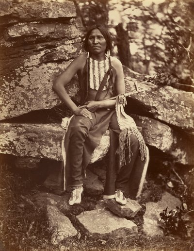 [Kleine Beer, Cheyenne] door John K. Hillers