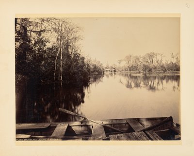 Silver Springs, Florida, stroomopwaarts gezien door John K. Hillers