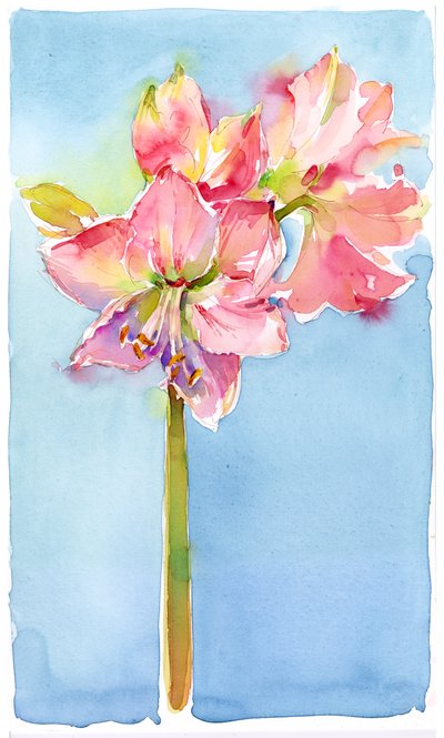Amaryllis met aqua achtergrond, 2015 door John Keeling