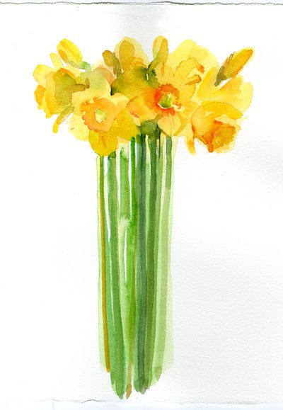 Narcissenbos, 2014 door John Keeling