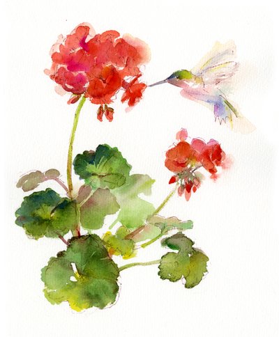 Kolibrie met geranium, 2015 door John Keeling