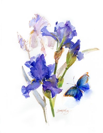 Iris met blauwe vlinder, 2016 door John Keeling