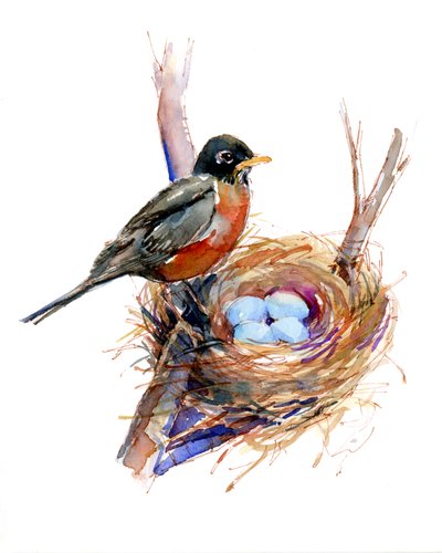Roodborstje met nest, 2016 door John Keeling