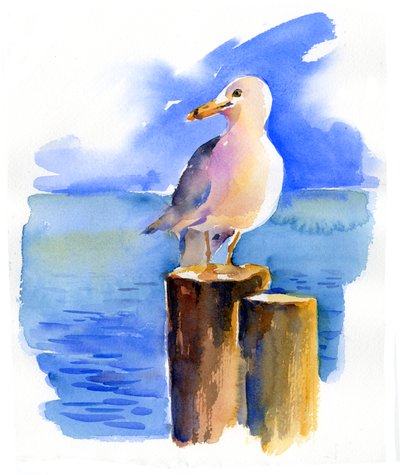 Meeuw op dok, 2014 door John Keeling