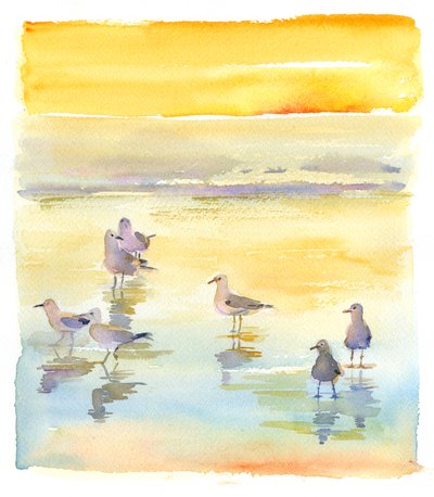 Meeuwen op het strand, 2014 door John Keeling
