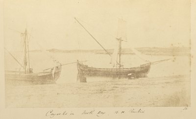 Kaaimannen in de Noordbaai, B.H. Renkioi door John Kirk