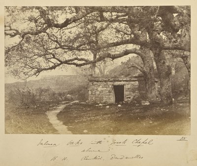 Valonea Oaks met Griekse kapel erboven. B.H. Renkioi, Dardanellen door John Kirk
