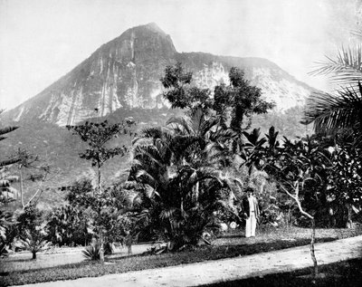 Botanische Tuinen en de Corcovado-berg, Rio de Janeiro, Brazilië, 1893 door John L. Stoddard