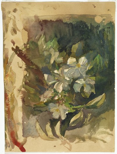 Appelbloesems in Zonlicht door John La Farge or Lafarge