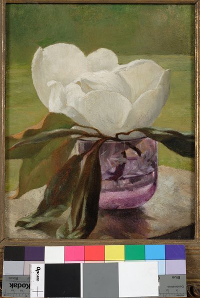 Magnolia Bloesem door John La Farge or Lafarge