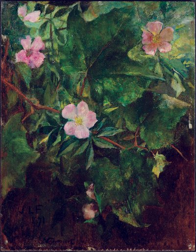 Wilde Roos en Druivenrank, Studie uit de Natuur, 1871 door John La Farge or Lafarge