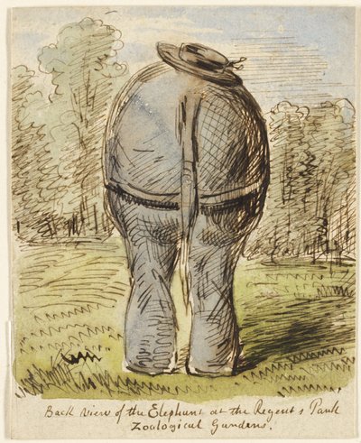 Achteraanzicht van de olifant in Regent