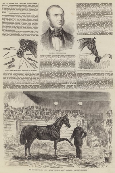 Mr J S Rarey, de Amerikaanse paardentemmer door John Leech