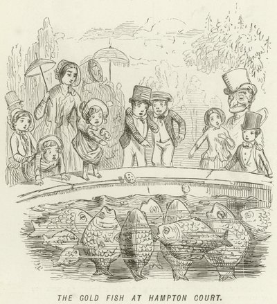 De Goudvis in Hampton Court door John Leech