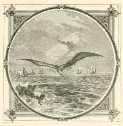 Als je arm bent, handel voorzichtig (gravure) door John Leighton