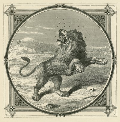 De mug steekt de ogen van de leeuw door John Leighton