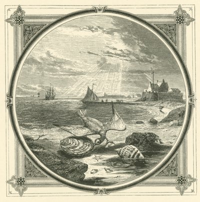 De bijter gebeten door John Leighton