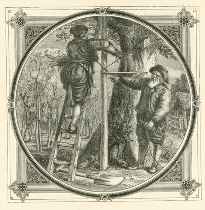 De takken kunnen worden getraind, maar niet de stam (gravure) door John Leighton