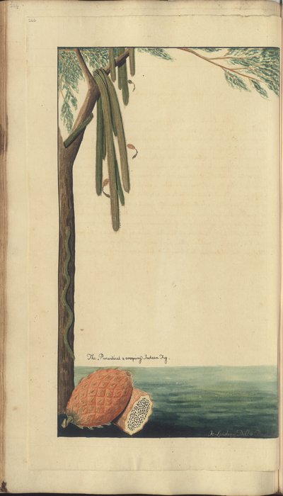 Een pagina uit de 