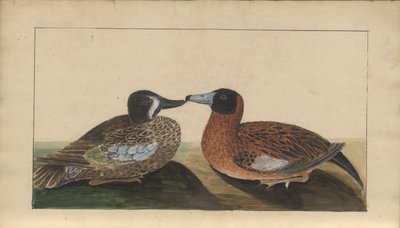 Een pagina uit de 