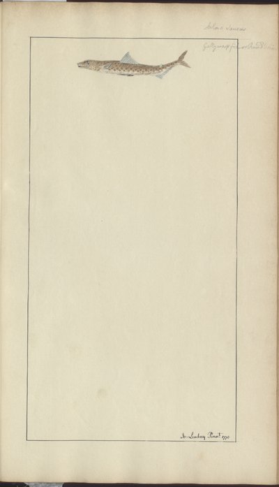 Lindsay Tekeningen Vol. VII, 23 door John Lindsay