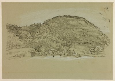 Wandelen door de velden door John Linnell