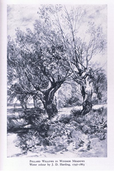 Houthakkers aan de rand van Windsor Forest, Natuur in Groot-Brittannië gepubliceerd door Collins door John Linnell