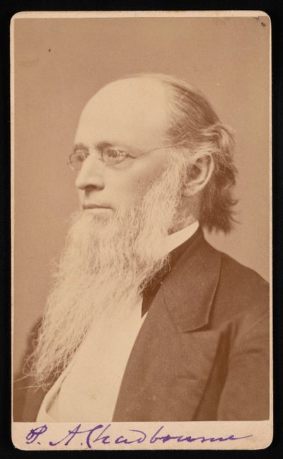 Portret van Paul Ansel Chadbourne 1823-1883, tussen 1872 en 1875 door John Lyman Lovell