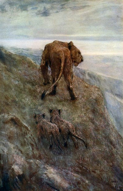 Op de uitkijk - Leeuwin en welpen, ca. 1878-1910, 1912 door John Macallan Swan