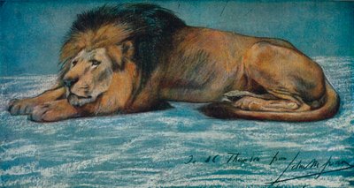 Pastelstudie van een leeuw, ca. 1900 door John Macallan Swan