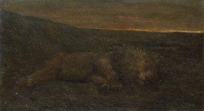 Slapende leeuw bij nacht door John Macallan Swan