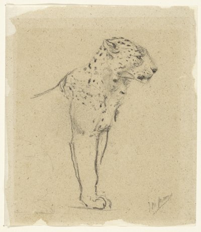 Studie van een staande luipaard door John Macallan Swan