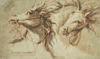 Twee Paardenhoofden door John Michael Rysbrack