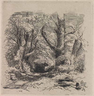 Een pad door het bos door John Middleton