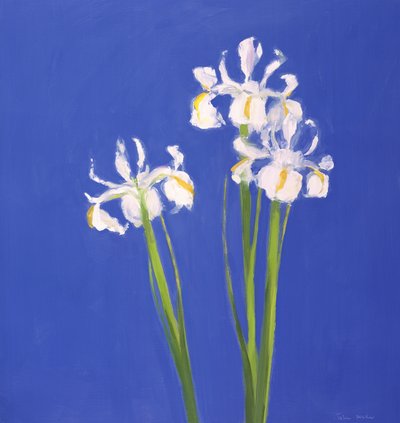 Nederlandse Witte Exelsior, 2000 door John Miller
