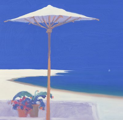 Jacht die het terras passeert, 1999 door John Miller