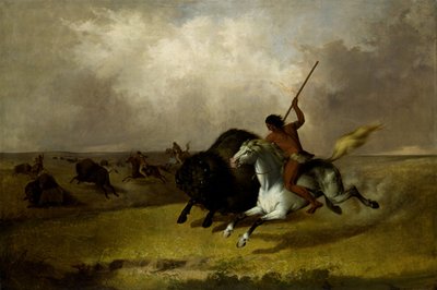 Buffeljacht op de zuidwestelijke prairies door John Mix Stanley