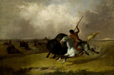 Buffeljacht op de Zuidwestelijke Prairies door John Mix Stanley