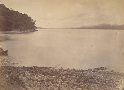 Tropisch Landschap, Darien Haven - Zicht naar het Zuiden, 1871 door John Moran