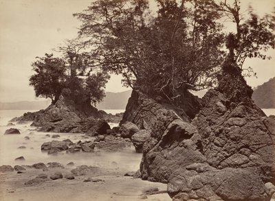Tropisch Landschap, Limon Bay - Eb, 1871 door John Moran