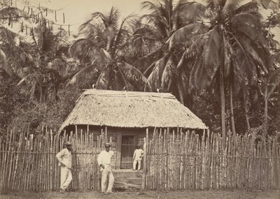 Tropisch landschap, inheemse hut, Turbo, 1871 door John Moran