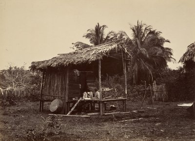 Tropisch landschap, inheems hut, Turbo door John Moran