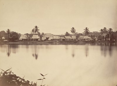 Tropisch Landschap, Santa Maria del Real, Darien, 1871 door John Moran