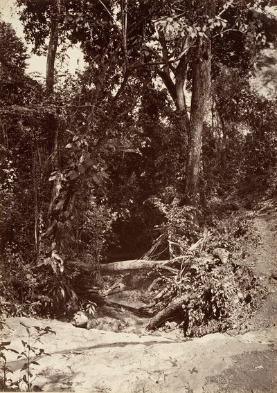 Tropisch landschap, De beek El Bano, Chipigana, 1871 door John Moran